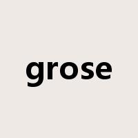 grose是什么意思