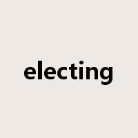 electing是什么意思