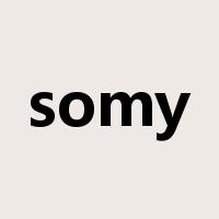 somy是什么意思