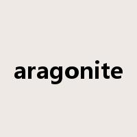 aragonite是什么意思