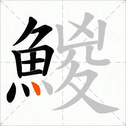 鯼