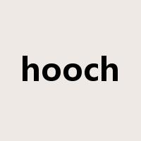 hooch是什么意思