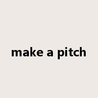 make a pitch是什么意思