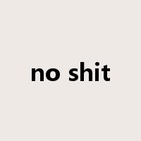 no shit是什么意思
