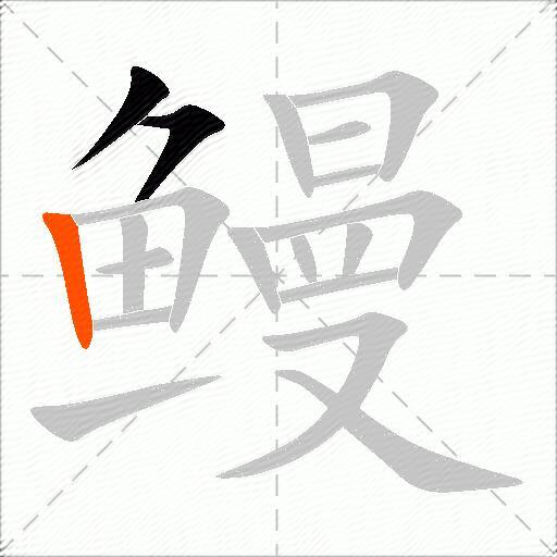 鳗