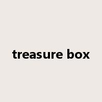 treasure box是什么意思