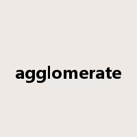 agglomerate是什么意思