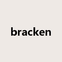 bracken是什么意思