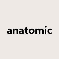 anatomic是什么意思
