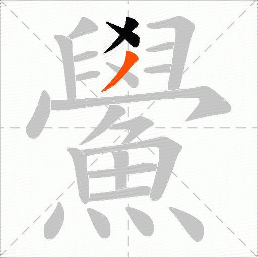 鱟