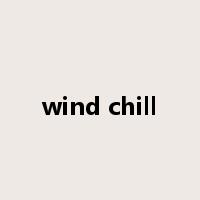 wind chill是什么意思