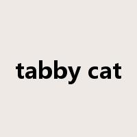 tabby cat是什么意思
