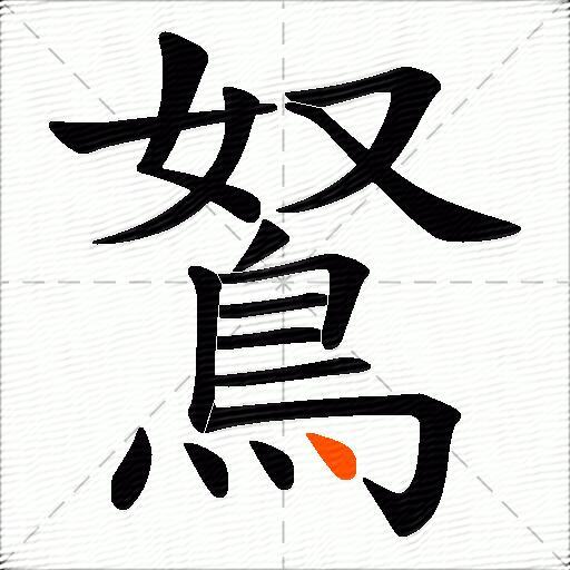 鴑