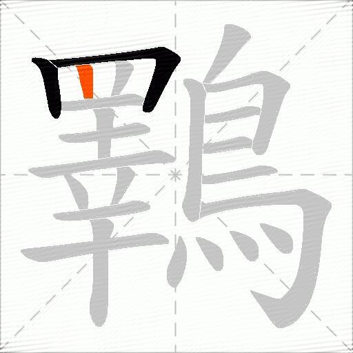 鸅