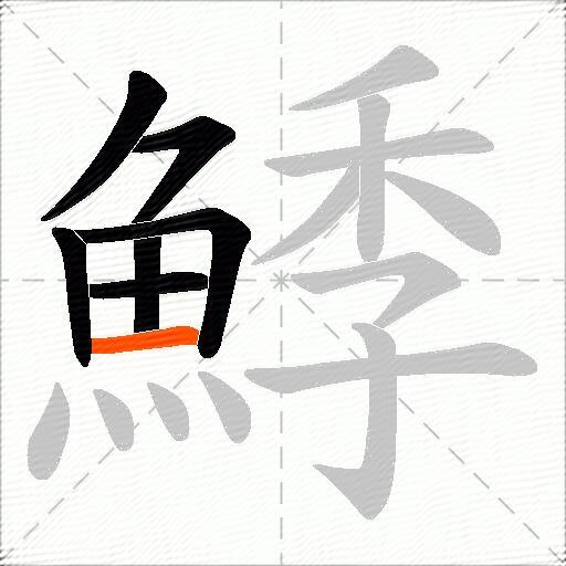 鯚