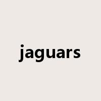 jaguars是什么意思