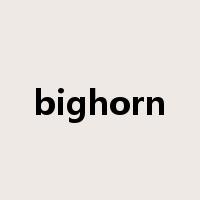 bighorn是什么意思
