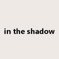 in the shadow是什么意思