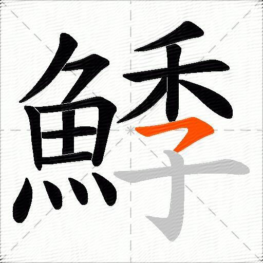 鯚