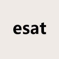 esat是什么意思