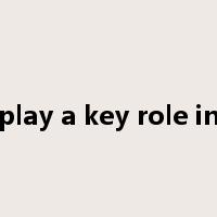 play a key role in是什么意思