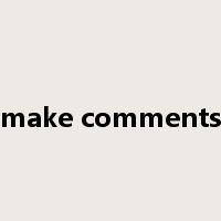 make comments是什么意思