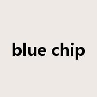 blue chip是什么意思