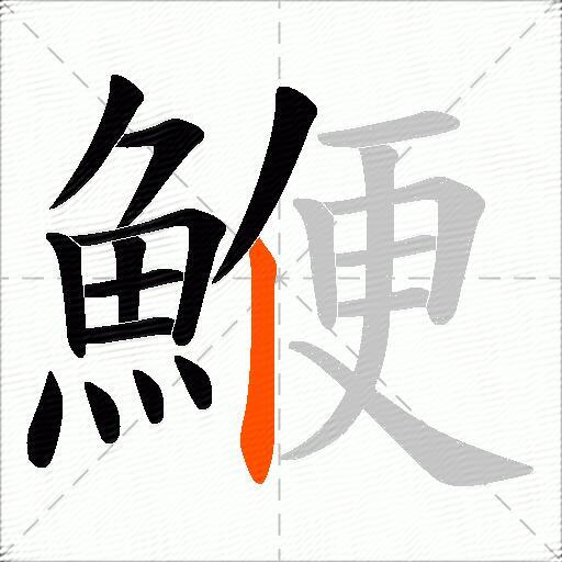 鯾