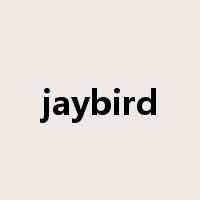 jaybird是什么意思