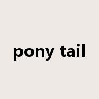 pony tail是什么意思