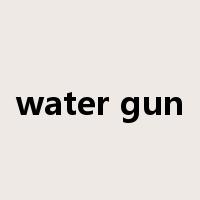 water gun是什么意思