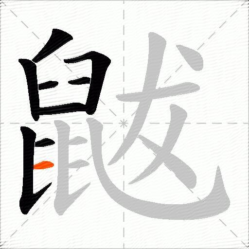 鼥