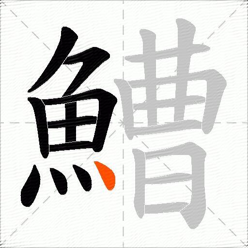 鰽