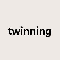 twinning是什么意思
