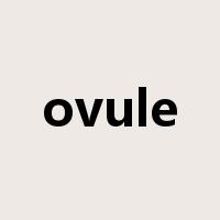 ovule是什么意思