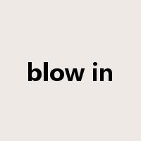 blow in是什么意思