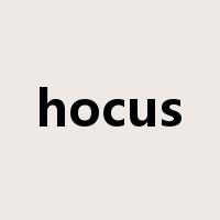 hocus是什么意思