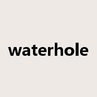waterhole是什么意思