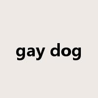 gay dog是什么意思