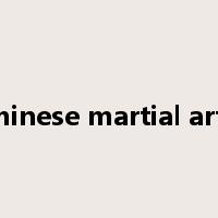 chinese martial arts是什么意思