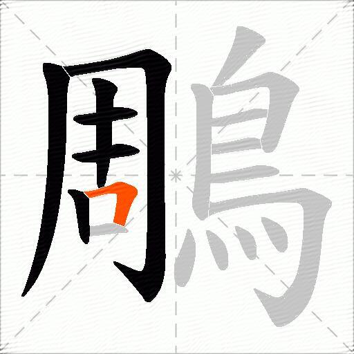 鵰