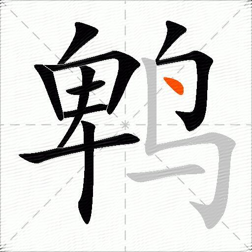 鹎