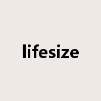 lifesize是什么意思