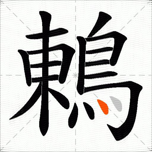 鶇