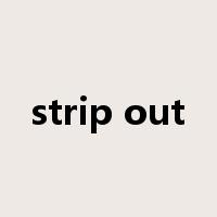 strip out是什么意思