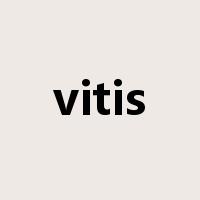 vitis是什么意思