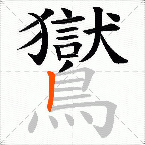 鸑