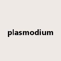 plasmodium是什么意思