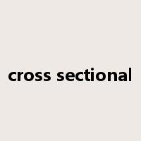 cross sectional是什么意思