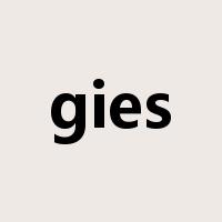 gies是什么意思